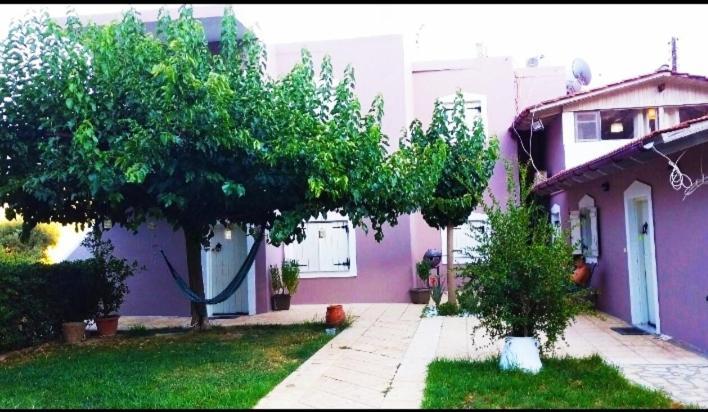 "Villa Kanavos" Apts マタラ エクステリア 写真